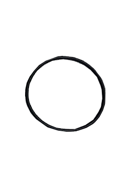 Get Your Wandres Ingromat™ Filter Housing Replacement O-Ring Now!