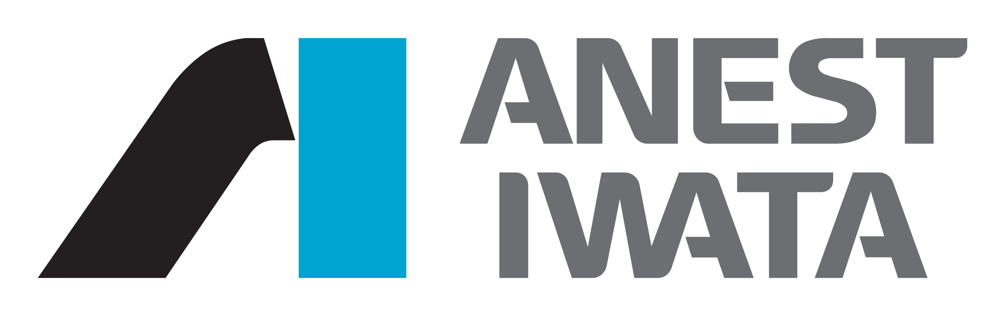 Anest Iwata Premium Air Adjustment Set